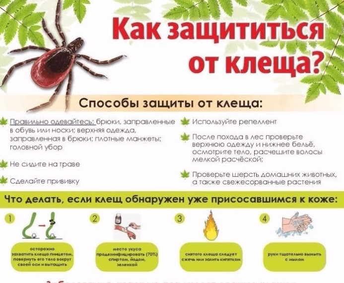 «Профилактика КГЛ».