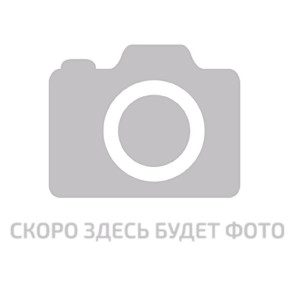 Полякова Елена Борисовна Полякова Елена Борисовна